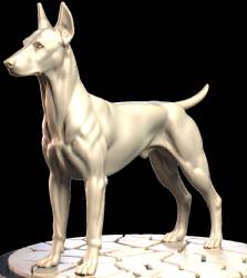 Dobermans (2)